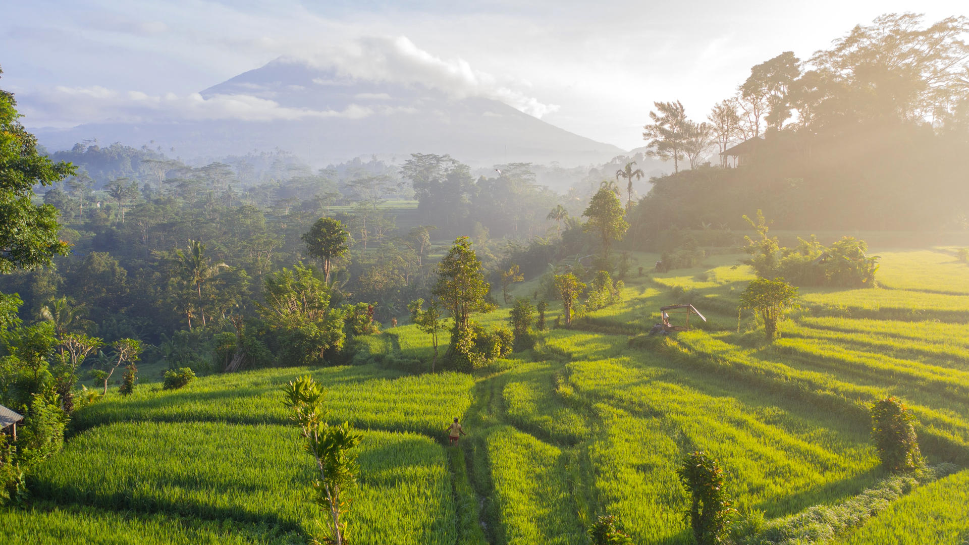 Signature image for the country Bali.